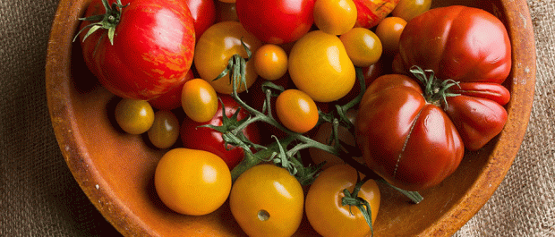 tomato-photo